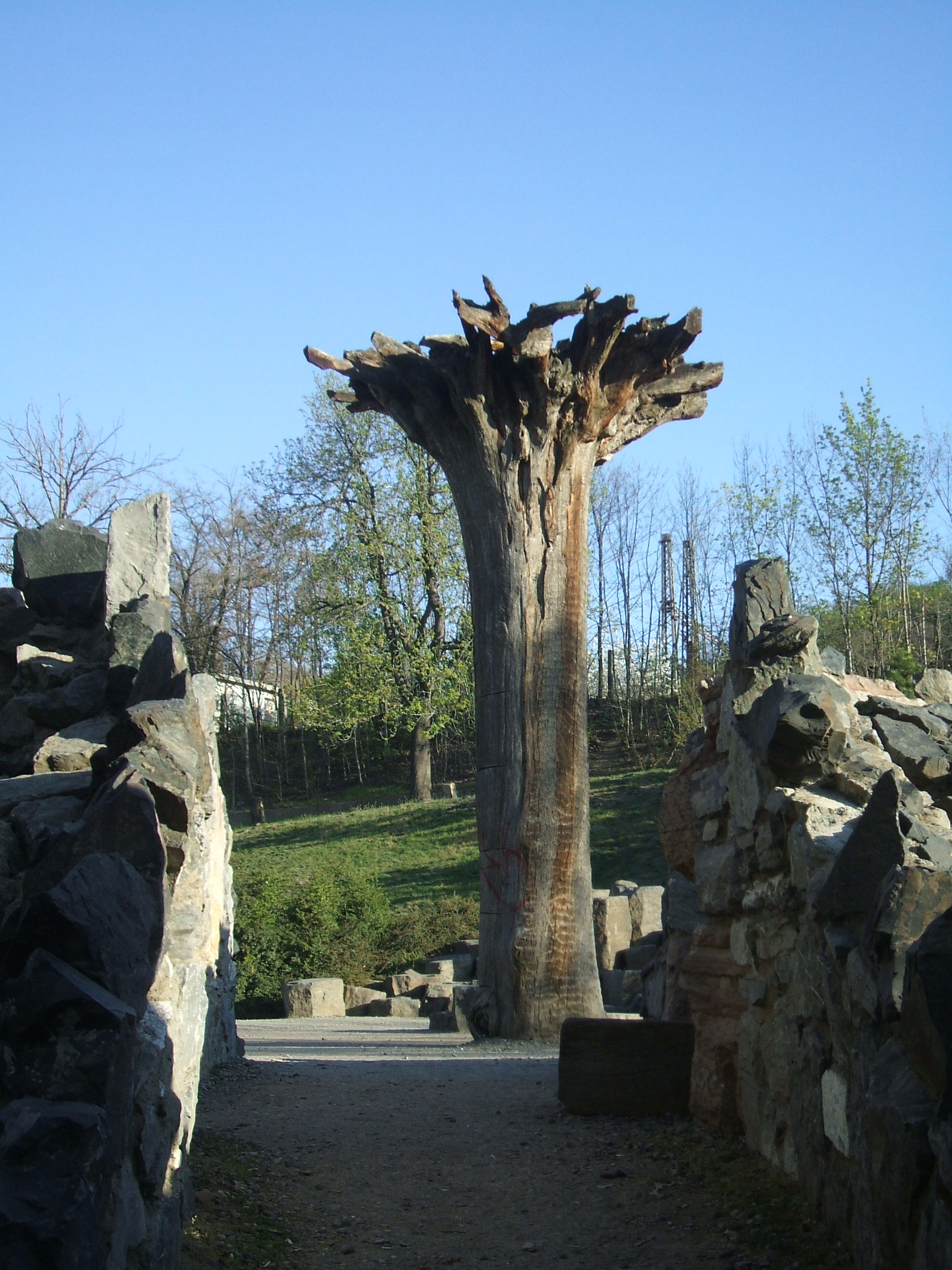 2007_0414Image0006.JPG